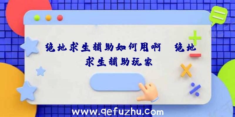 「绝地求生辅助如何用啊」|绝地求生辅助玩家